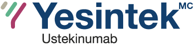 yesintek_logo-FR